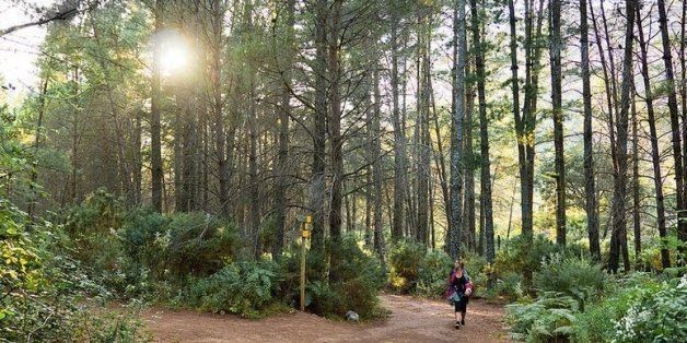 How City Living May Be Harming Your Mental Health, And What You Can Do About It