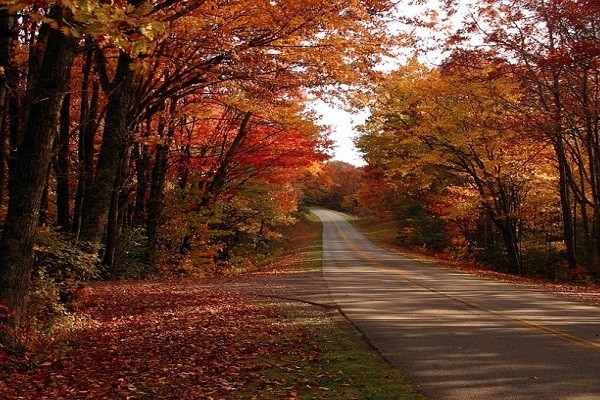 Go Now: 5 Spectacular Fall Drives