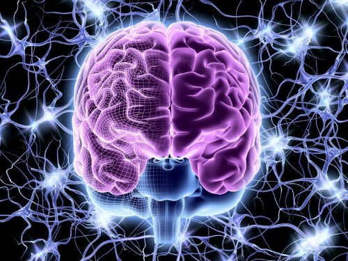 Scientists Make Major Discovery While Studying The Brain On No Sleep | HuffPost Life