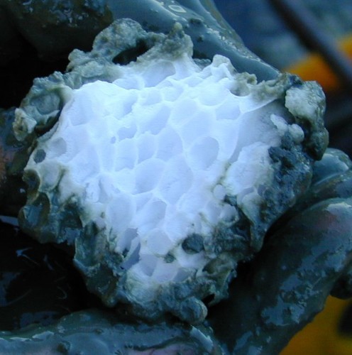 Methane Hydrates: Environmental Armageddon or Energy Windfall?