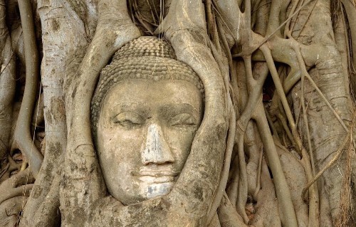 Buddhism and the Messiness of Everyday Thinking