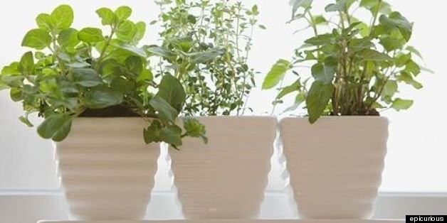7 Ways to Eat Green and Save Money | HuffPost Life