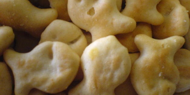 Goldfish Are Apparently Soup Crackers, Because, You Know, They Can Swim | HuffPost Life