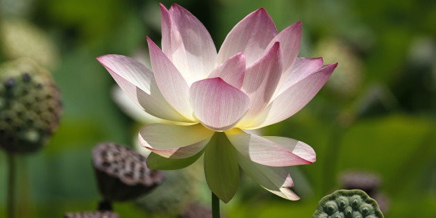Daily Meditation: Sacred Words