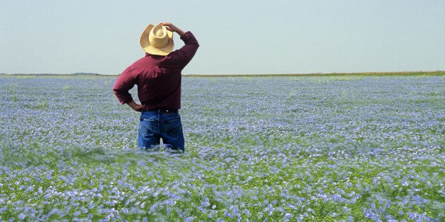 How TV Has Made Us Stupid About Farming