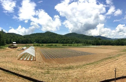 Climate Change Is Ruining Farmers' Lives, But Only A Few Will Admit It