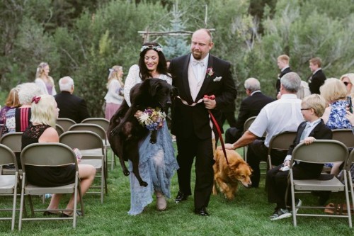 Bride's 15-Year-Old Dog Made It To Her Wedding Just Before He Died