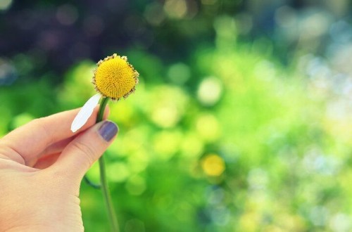 Spring Cleaning Our Lives