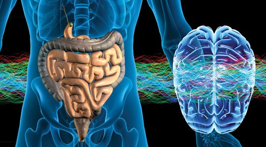 The Pit In Your Stomach is Actually Your Second Brain