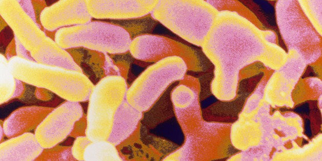 Probiotics Could Help Protect Against Antibiotic-Related Diarrhea: Study | HuffPost Life