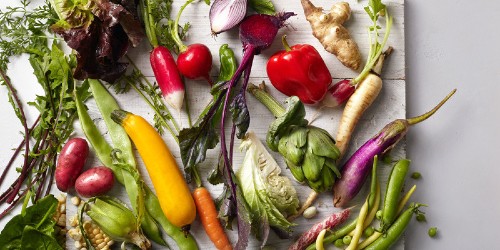 10 Essential Rules To Healthy Eating