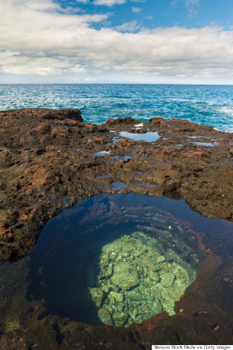 Take A Dip In Hawaii's Crystal Clear Tide Pools