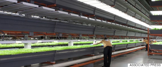 10 Green Technologies That Could Help Revolutionize Our Changing Planet