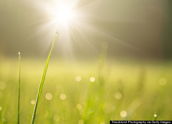 Daily Meditation: Good Morning
