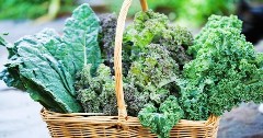 Discover vegetable plants