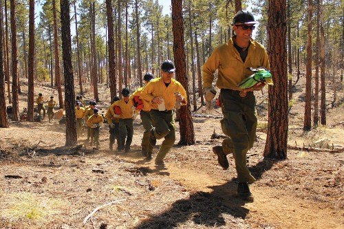 NASA and the U.S. Forest Service team up to design better fire shelters - Los Angeles Times
