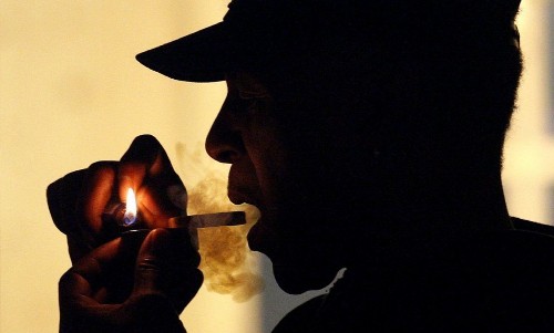 Regular pot smokers have shrunken brains, study says - Los Angeles Times