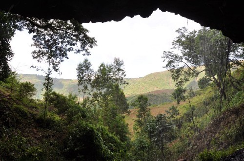 DNA from 4,500-year-old Ethiopian reveals surprise about ancestry of Africans