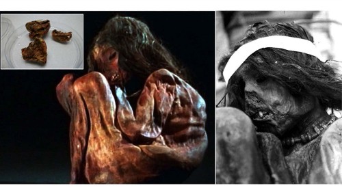 DNA from Inca boy sacrificed 500 years ago shows how humans spread to South America