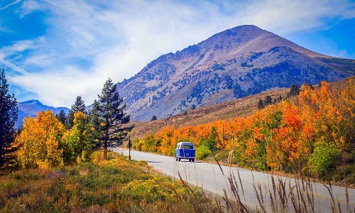 Bishop bursting with fall colors -- a peek of them at their peak