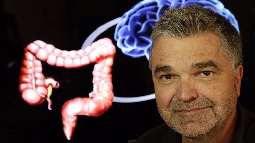 Why we feel emotions in our guts, and what microbes have to do with it - Los Angeles Times