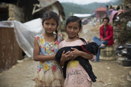 Turning attention to Nepal's four-legged (or feathered) quake victims - Los Angeles Times