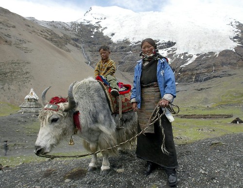 Tibetans get high-altitude edge from extinct Denisovans' genes - Los Angeles Times