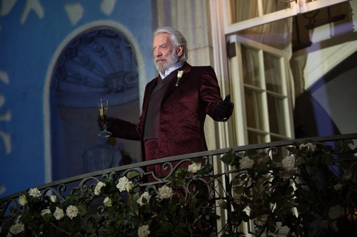 The malleable politics of 'Hunger Games: Catching Fire'