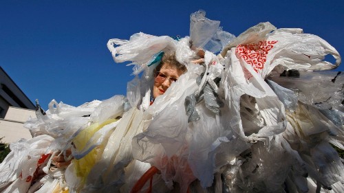 Will California's plastic bag ban do any good? - Los Angeles Times