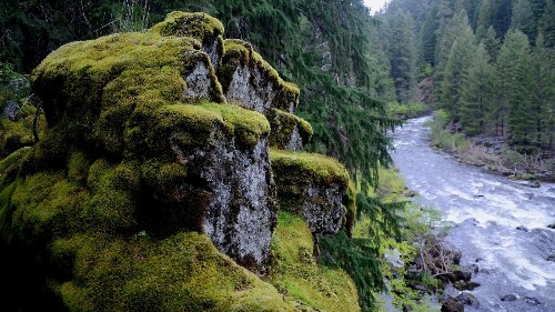 National park tips: If you're near Crater Lake, visit this gorge — and gorge on pie too