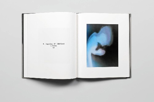 Keanu Reeves stars in the art book 'Shadows' by L.A. artist Alexandra Grant - Los Angeles Times