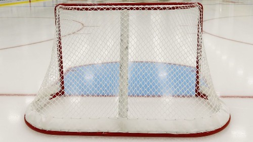 L.A. Jr. Kings coaches, players suspended after reported anti-Semitic remarks are heard on video