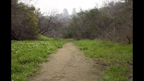 Break from the bustle of L.A. with a hike in Elyria Canyon Park - Los Angeles Times
