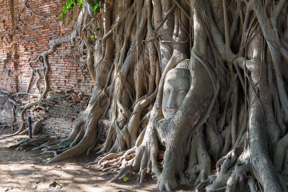 A tale of two Thai cities: how to visit Ayuthaya and Lopburi in just one day
