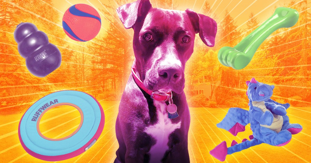 40+ Awesome Gifts for Animal Lovers