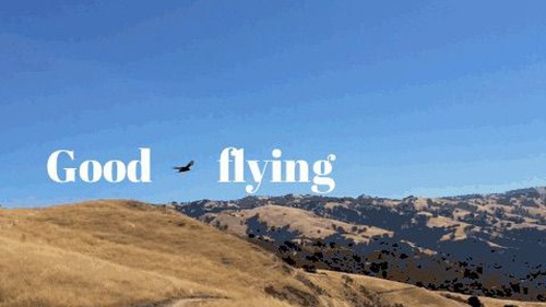 Make really slick GIFs with text that follows movement, using Google's Motion Stills app