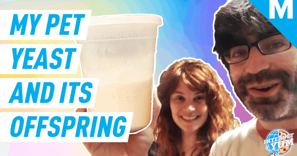 Meet my pet yeast and all its offspring – Internet of Yum