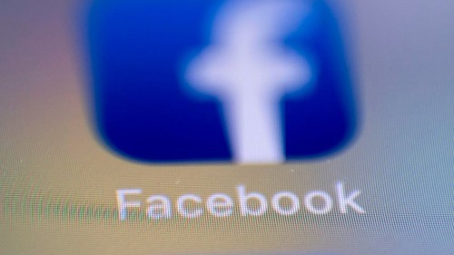 Facebook used as a platform to promote dog fighting, report finds