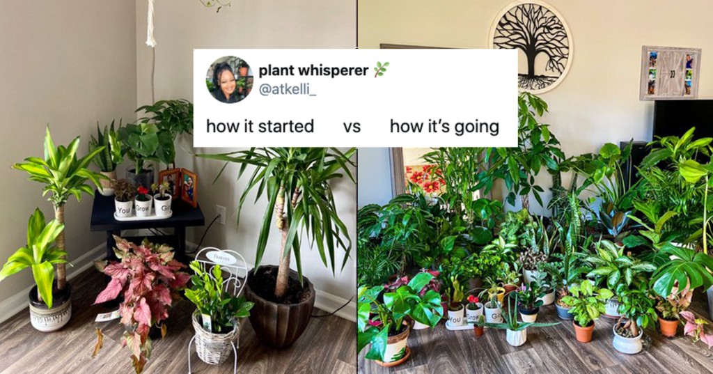 The 80+ Best Memes That Defined 2020