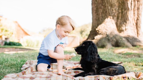 These adorable photos prove that 3-year-old Prince George is still as cute as ever