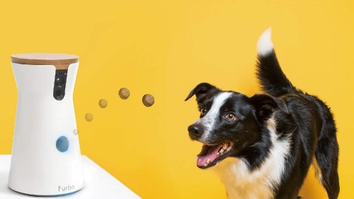 Furbo dog camera is $64 off for Prime Day