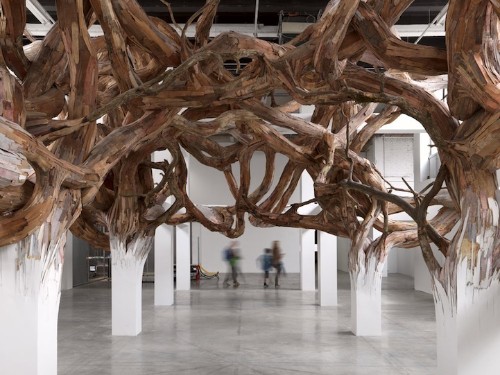 Surreal Tree Branches Sprout Out from Indoor Support Beams