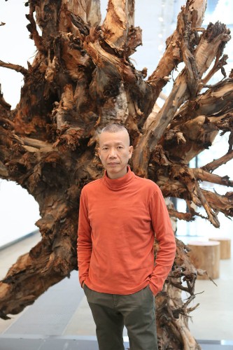 Entire Eucalyptus Tree Displayed at Gallery of Modern Art
