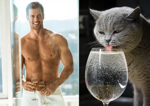 Hilarious Blog Continues to Pair Sexy Men with Adorable Cats in Similar Poses