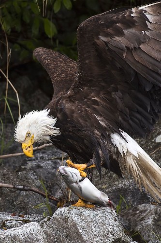 Outstanding Entries to the Smithsonian Wilderness Forever Photo Contest