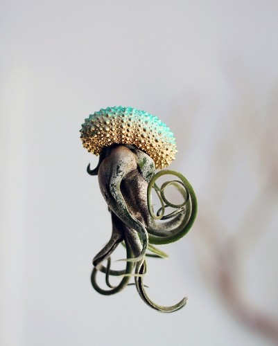 Delightful Pots Turn Air Plants into Whimsical Jellyfish