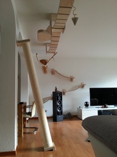 Rooms Transformed into Suspended Cat Playgrounds