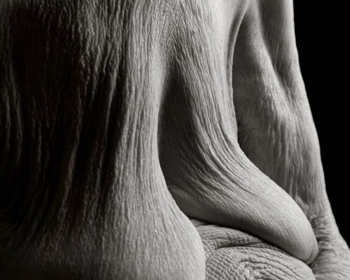 Intimate Portraits of People Over 100 Years Old Reveal the Beauty of Aging Bodies
