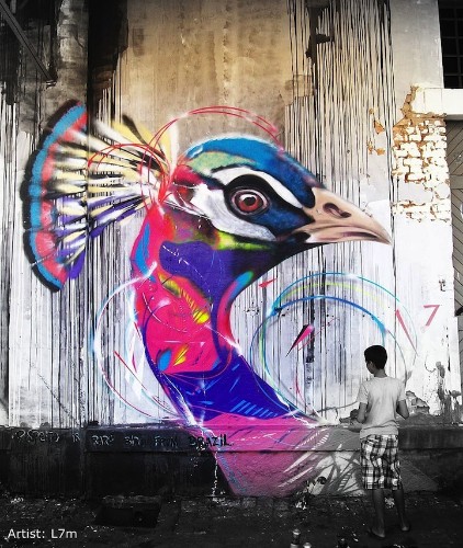 Graffiti Birds Emerge in Brazil Through Fragmented Lines