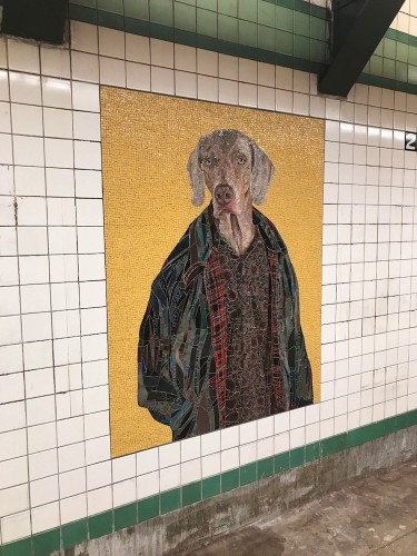 NYC Subway Station Gets Redesigned with Colorful Dog Mosaics